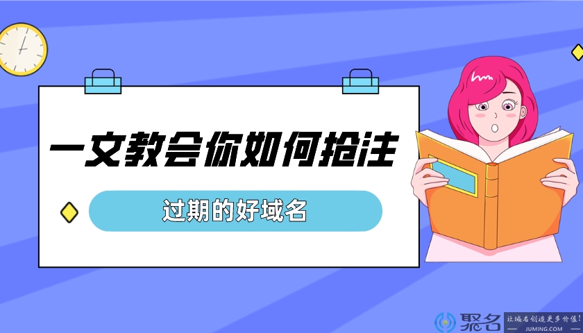 一文教会你如何抢注过期的好域名