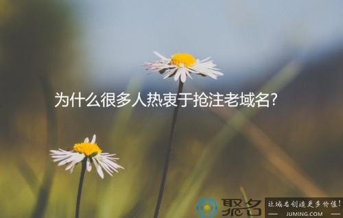 新人怎样去抢注老域名？抢注老域名经验