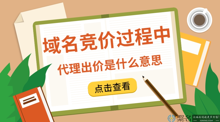 域名竞价过程中，代理出价是什么意思?