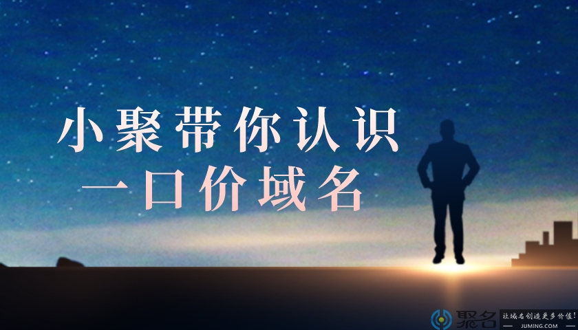 小聚带你认识一口价域名