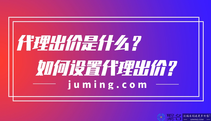 域名竞价中代理出价是什么意思?要怎么设置?
