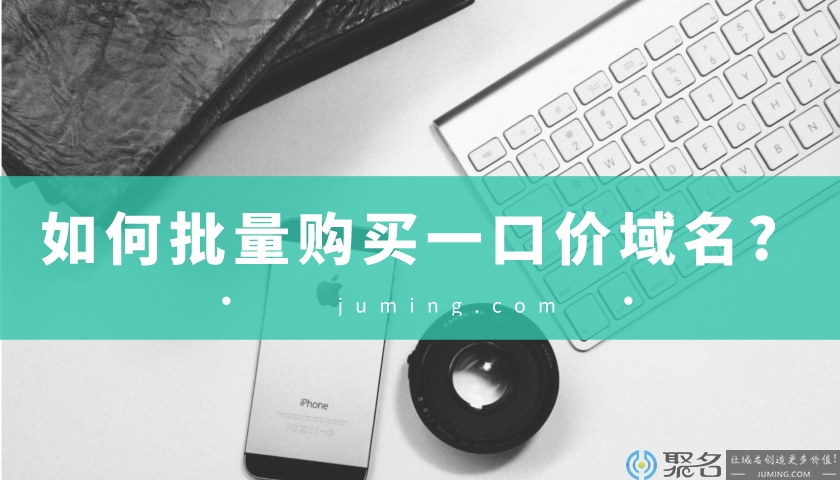 新手如何批量购买一口价域名?