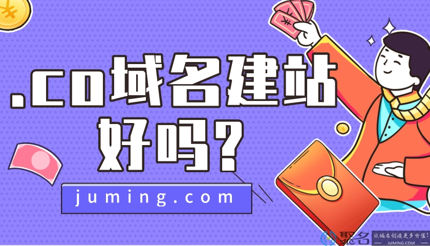 .co域名建站好吗?
