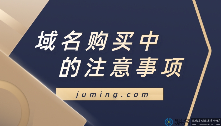 大佬谈域名购买中的注意事项