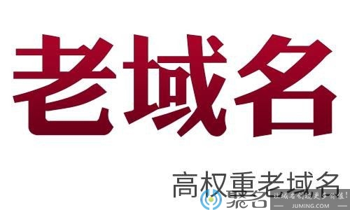 有权重的老域名去哪抢注?