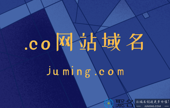 .co网站域名注册行不行?可以入手.co域名吗?