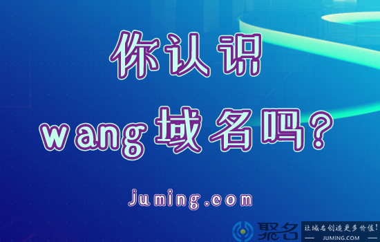 你认识wang域名吗?从wang域名使用情况分析投资价值