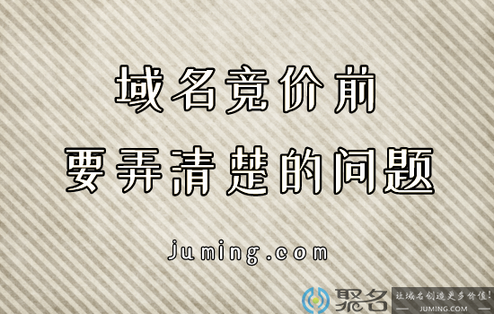 小白进行域名竞价前要弄清楚的问题