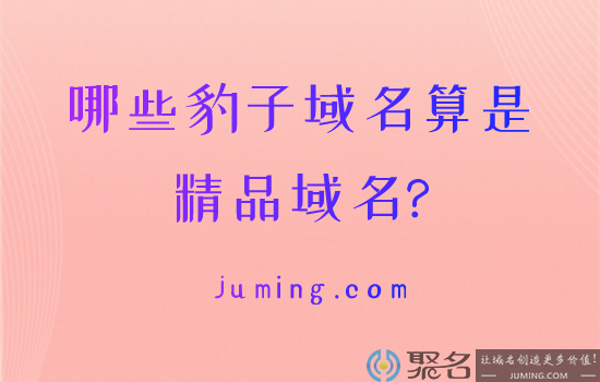哪些豹子域名算是精品域名?