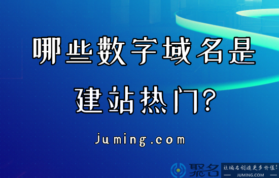 哪些数字域名是建站热门?