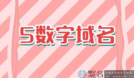 5数字域名也能卖高价!聊聊5数域名的魅力
